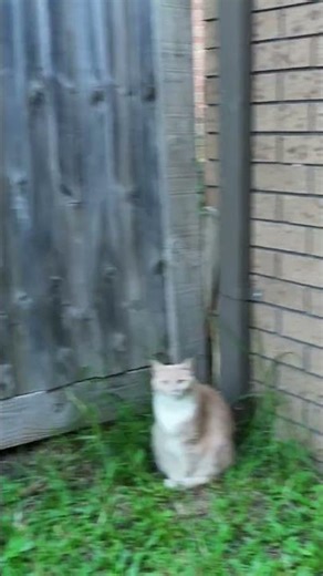 crash mini 4 into a fence. rookie, mode switching user error. (zero damage, recalibration needed)