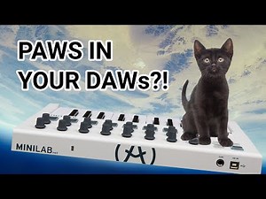 Sound design with a cat's meow | Granular Synthesis Tutorial