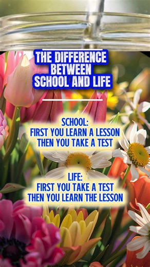 School teaches the lesson before the test. Life gives the test that becomes the lesson. Growth often begins when we face challenges. #CapCut #lifelesson #inspiration #grow #quote
