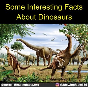 7.5K views · 244 reactions | Some Interesting Facts About Dinosaurs | Facts that will blow your mind | Facebook