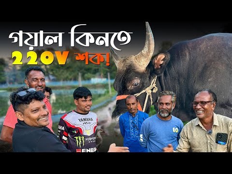 আকরাম ভাই কেন ব্যর্থ হলেন গয়াল নিতে? দাম শুনে সরাসরি শক! 🔥 | Shocking Goyal Price Update 2025