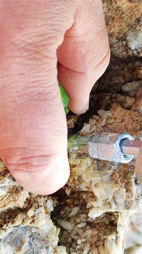 Rainbow Beach's Crystal Secrets, but beneath the sand lies a secret world of crystals.