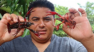 Cocinando langostinos de rio estilo Louisiana / camarones de rio comprenlos aqui 30 libras : https://amzn.to/3qeqHmc o compra solo 10 libras : https://amzn.to/2SKt9Vz Cocina con olla de aluminio : https://amzn.to/3qcA1ar espátula de madera : https://amzn.to/2SHBmtB Sazon : https://amzn.to/3xCDdP6 | Pesca Y Caza USA