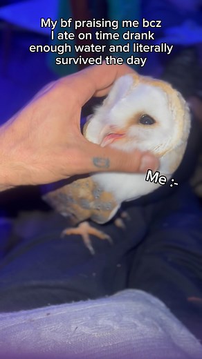 Princess Aurora on Instagram: "Pretty lil baby it’s time to come home 黎✨懶 #eyes #love #baby #kitty #bfgf #cute"