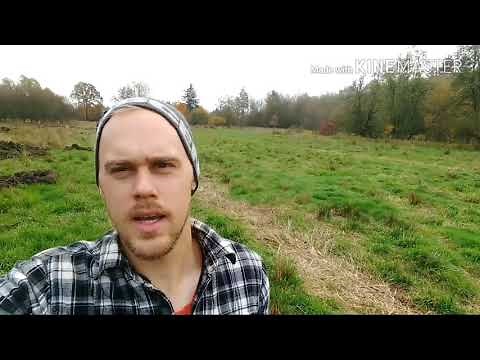 Natural Multiflora Rose Removal from Pasture