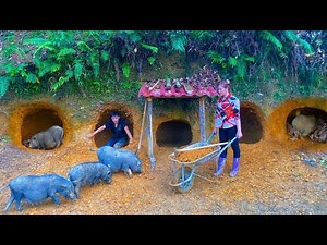 Construction of barns for pigs about to give birth. The process of expanding the farm