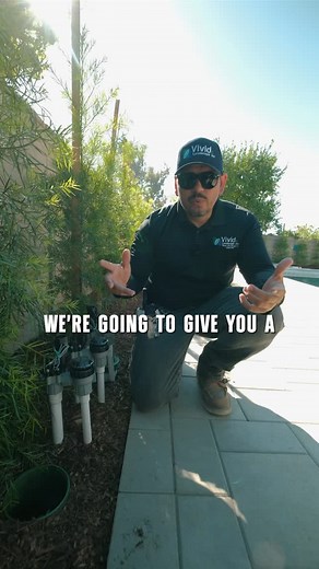 The backyard phase of our Upland front and backyard project is almost complete  Privacy hedges are in, St Augustine grass is down, and new citrus trees are giving this space life. Quality work from start to finish that elevates the entire property. Upland CA landscaping | Backyard renovation | Landscape construction | Outdoor design #landscaping #landscapingcompany #landscapingideas #landscapedesign #uplandcalifornia | Vivid Landscape | Facebook