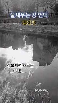빈예서 - 물새우는 강언덕 /마음 깊이 스며드는 트롯감성