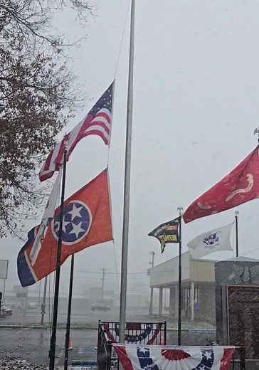 3.9K views · 105 reactions | Pre-Veterans Day snow in Jellico......... | Jellico Public Library | Facebook