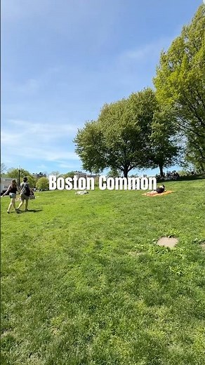 A day on boston common