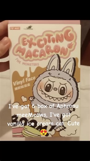 Aphmau MeeMeows Ice Cream Unboxing Experience