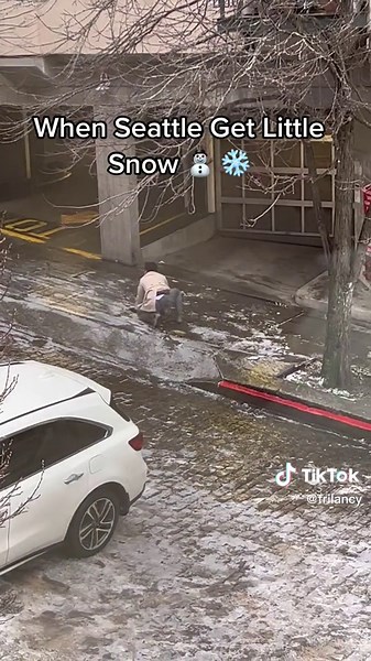 This is in front of my window. Stay home Seattle friends. #komonews #seattlewashington #pnwonderland #pnwlife