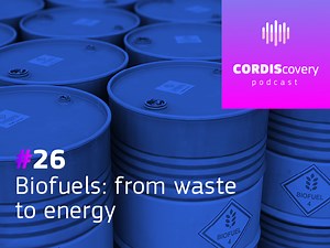 26. Biofuels: from waste to energy