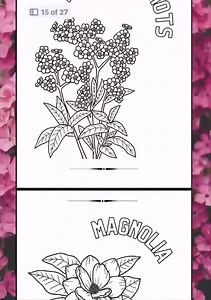26 Printable Coloring Pages, Flower Coloring Pages, Instant PDF Download - Etsy Australia