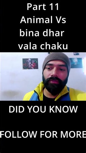 animal pitch meeting script meeting 13