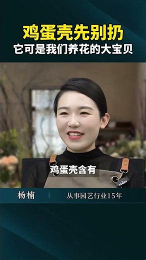 Eggshell Gold: Discover the Hidden Treasure in Your Kitchen