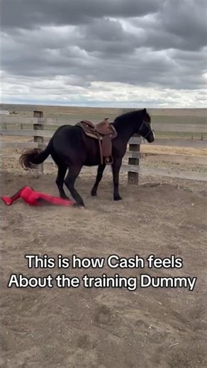 Funny Horse Compilation 2025 #shorts #animals #horse #pets #funny