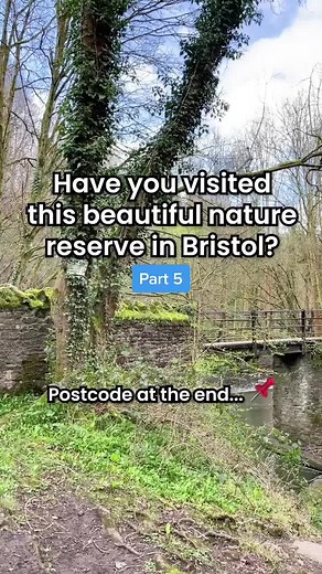Explore the Beauty of Bristol's Nature Places