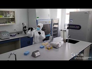 Laboratorio de virología BSL3