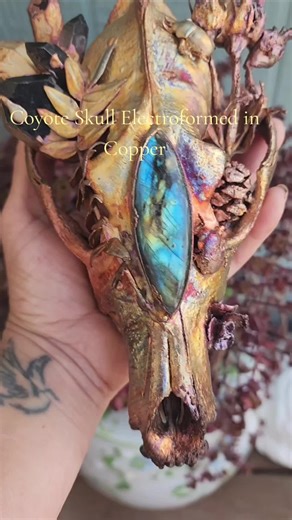 It's a real coyote skull that's been electroformed in copper with real bugs, crystals, and nature. One of a kind art. #fyp #viraltiktok #crystaltok #naturevibes #artistsoftiktok