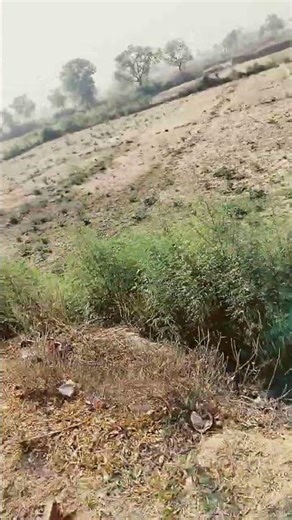 Indian farmer is hard worker man