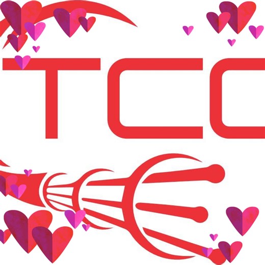 Texas Conduit and Cabling LLC | South Houston TX