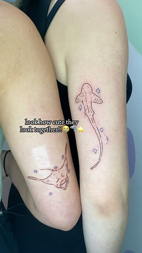 sasha ☆ tattoo artist🪁 on Instagram: "tag the person with who you need a marine life matching tattoos 😼🦈 #fyp #fypシ #marinelife #seacreatures #tattoo #tattooideas #sharktattoo #shark #tattoouk #brightontattoo #tattoosketches #tattooartist #uk #illustration"