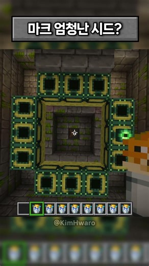 This is the first time I've seen seeds like this.