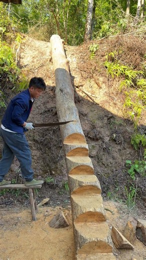 Advanced Woodworking: Build a Durable Ladder from a Giant Log