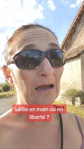 La Saillie des Chevaux en Liberté : Comprendre Arizona