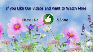 How to install Apache webserver on windows