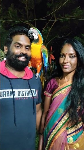 నా శ్రీమతి గారి తో సరదాగా కాసేపు.....#love #wedding