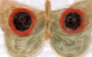 【vimeo动画短片搬运】MOTH (蛾子) 很有意境的纸上手绘实验动画超酷变形