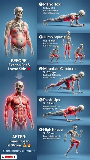 5 Exercises = Full Body Fat Loss 🔥 Try This Daily! #fitnessjourney