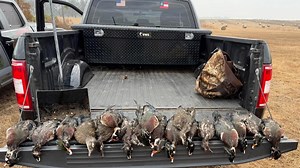 Group of hunters arrested in Macon County after illegally hunting ducks, post says