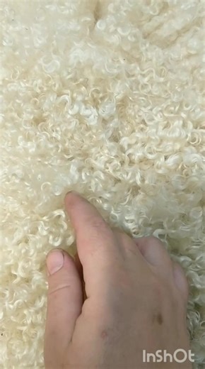 Locks on this wet felted sheep fleece even better than before! As I said in my previous posts, it is OK to brush out curly fleece and wash wool properly as you always can 'reset' the locks. Video on 'how to reset locks' is in first comment. #wool #art #craft #hobby #creative #diy #handmade #homemade #sheep #farm #farming #animals | Welsh cottage by Zina