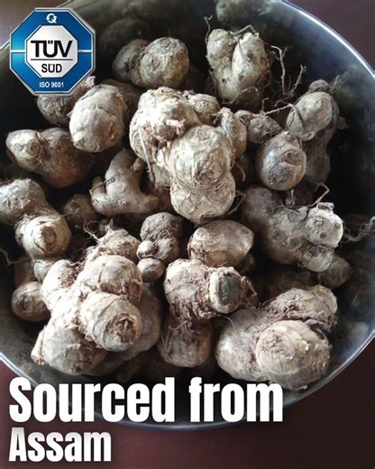 Black Ginger from Assam | Bulk Supply of Slices & Powder | Kaempferia parviflora