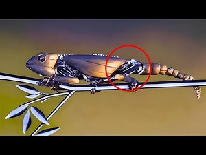 7 Wildest Robotic Animals Taking Over the World! (New 2023)