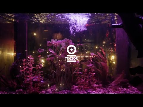 Datashader - Digital Entropy (Trailer)