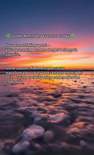 🌿 Gentle Reminder Quote for Today 🌿 “You are not falling apart—you are learning what no longer belongs in your life.” Some seasons feel messy because transformation rarely looks neat in the middle of it. Trust that clarity often comes after the confusion. #GentleReminder #Transformation #LettingGo #HealingAndGrowth #TrustTheJourney