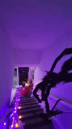 A great spooky evening with our Haunted House! It was great to see so many call in for a visit and scares!! Shout out to our excellent scarers on the night!! 🎃🧙👻 Have a wonderful and safe Halloween | Northside Family Resource Centre