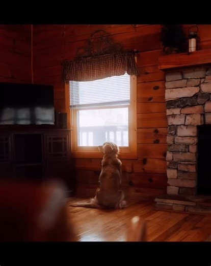 2025 ✨ A year full of cozy cabins, wagging tails 🐾, Smoky Mountain views, small-town favorites, and so many moments that felt like home. Thank you to every guest, follower, and friend who made this year so special. Here’s to new memories ahead — Come stay a while 💛 www.hapeycabinrentals.com #HapeyCabinRentals #2025Recap #SmokyMountains #DogFriendlyCabins #SmallBusinessLove | Hapey Cabin Rentals