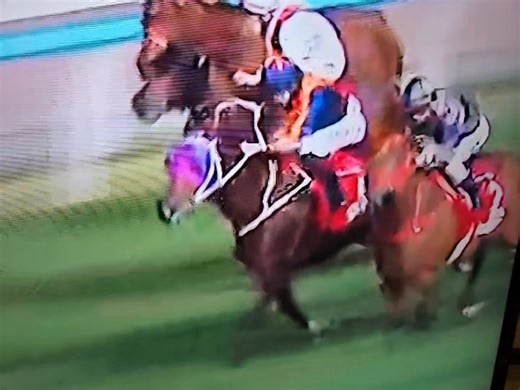 #今晚潘頓冇力 第七場 2號 #馬力 我哋畀大家判斷 這匹馬有冇問題❓❓❓ 總之一句講曬 收咗order #不可入三甲 今次呢隻我哋有買呀 #免費🐴貼士 星期三跑馬地賽事 #每一場賽事免費貼士 #每一場詳細分析 經常都有 #免費⚽️⚽️⚽️ 即刻按以下條link加入 或者可以scan QR code https://chat.whatsapp.com/BX8Dnx5vrtt2nf1aa0vd6M #香港賽馬會 #HKJC #賽馬 #足智彩 #足球 | Meng Siu