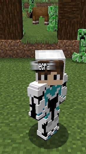 Steel Wing on Instagram: "Why Minecraft Java Is Dying..."