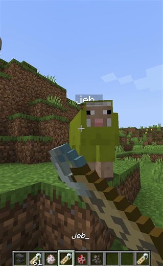 Secret Minecraft Name Tags Revealed 🤍