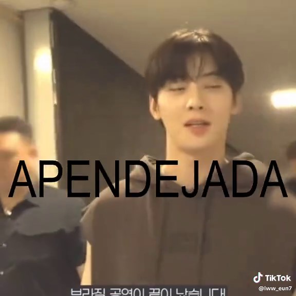 Cha Eunwoo: Viral Edits & Fan Creations