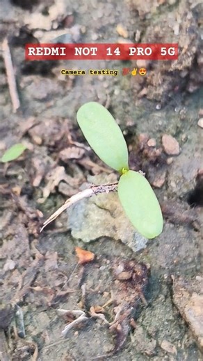 Samsung galaxy S24ultra titanium green 💚, Display quality 😱 Technology Digital #shorts