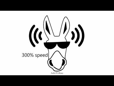 TOP 10 "BRUH" SOUND EFFECT VARIATIONS (NO COPYRIGHT)