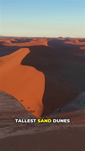 You Won't Believe How Tall These Dunes Actually Get #desertlife #nature #shorts