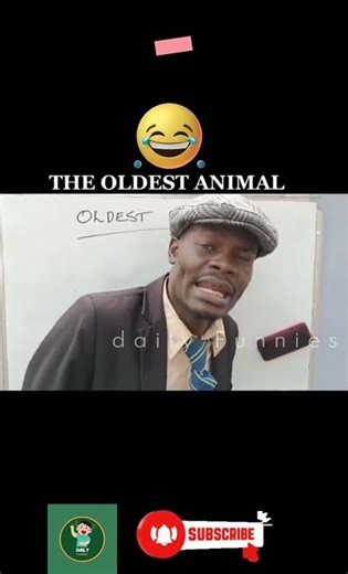 Oldest Animal in the World? 😂🦓 | Funny Zebra Joke | Daily Funnies